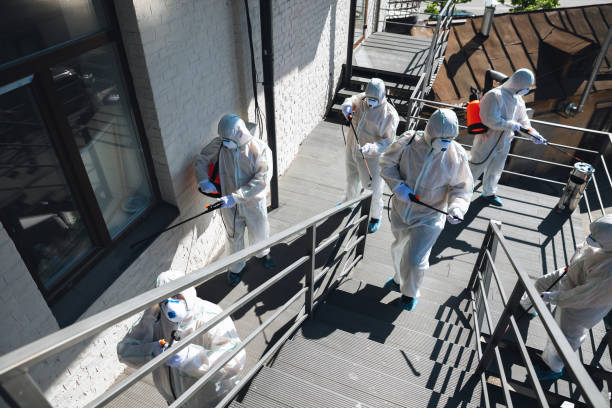 Garwood, NJ Mold Removal Pros