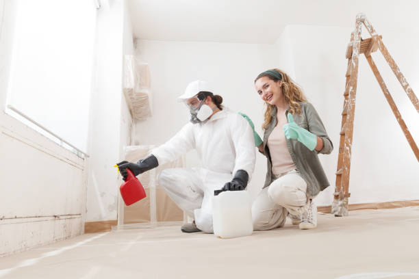 Forensic Mold Investigation in Garwood, NJ