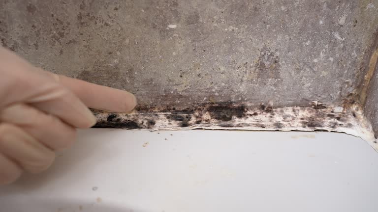 Best Post-Remediation Verification Testing  in Garwood, NJ